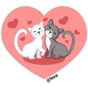 Adorable cat couple
