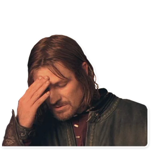 Boromir Facepalm moment