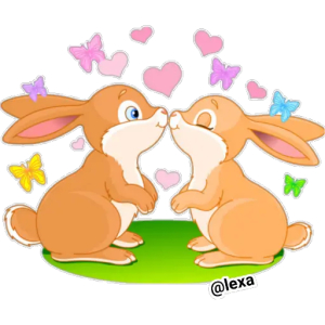 Bunny love (2)