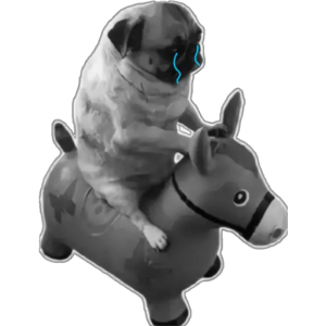 Crying pug on toy horse