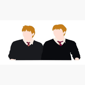 Wizard Twins Mischief