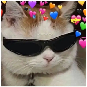 Cool cat with hearts