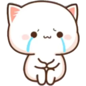 Crying kitten