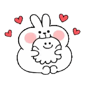 Bunny Hug Overflow