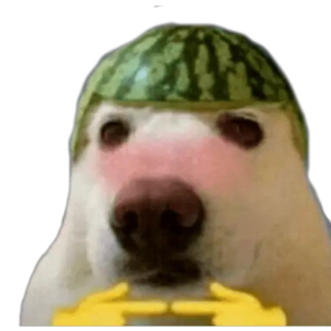Dog Wearing Watermelon Hat