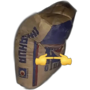 Pointing at the Bag