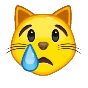 Emojies Sad crying cat