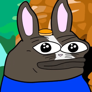 Pensive Bunny Stare