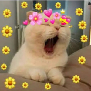 Yawning Cat Surrounded by Flowers
