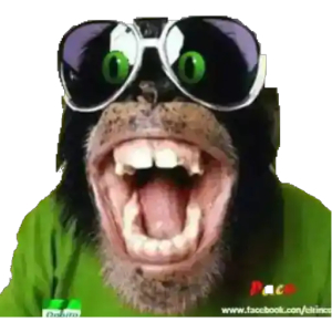 Excited Monkey with Sunglasses