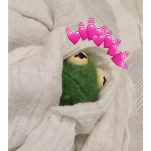 Cozy Kermit with Heart Shower