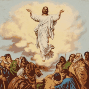 Ascension awe