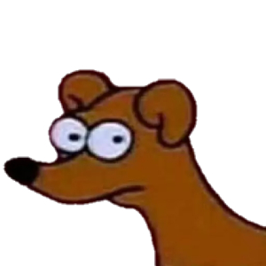 Confused Dog Stare