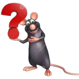 Confused Rat with Question Mark
