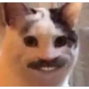 Cat with a Human Smile