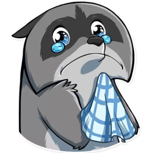 Sad raccoon with tears