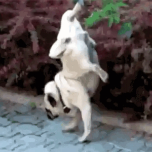 When you try a new yoga pose