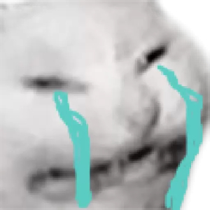 Crying cat face
