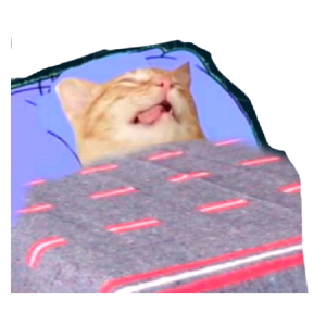 Cat Enjoying a Cozy Nap