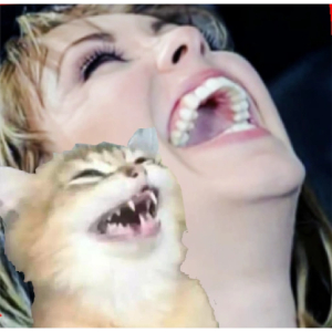 Laughing with My Cat