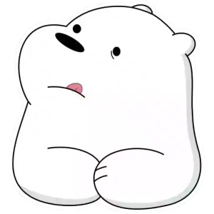 Curious Polar Bear