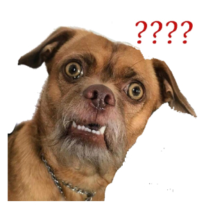 Confused Dog with Question Marks