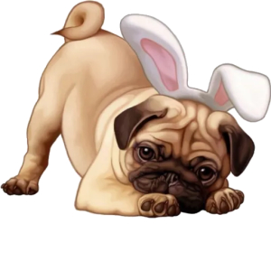 Pug with Bunny Ears
