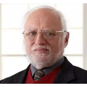 Hide the Pain Harold