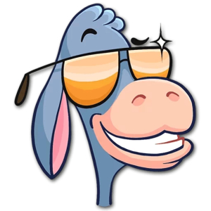 Cool donkey with sunglasses