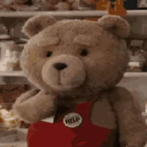 Confused Teddy with Help Sign