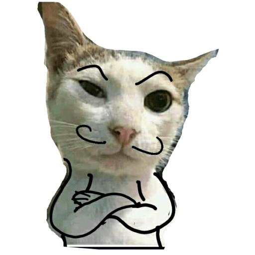 Confident Cat Meme