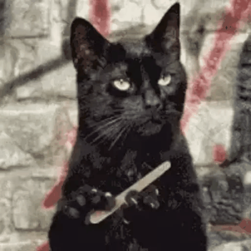 Cool Cat with Nail File
