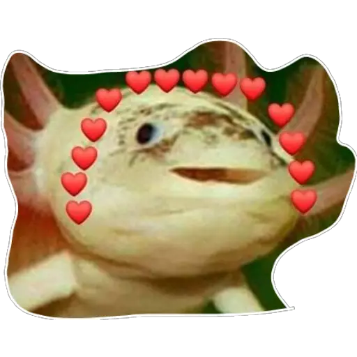 Axolotl with Hearts