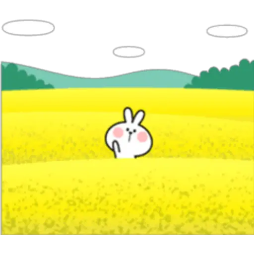 Bunny in a Field