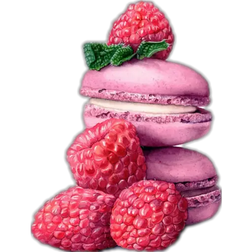 Raspberry Macaron Delight