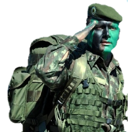 Military Salute