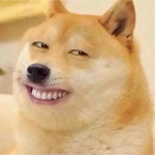 Shiba Inu Cheeky Doge Grin