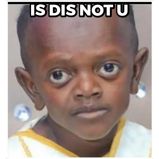 Mamberroi Jr Is Dis Not U Meme