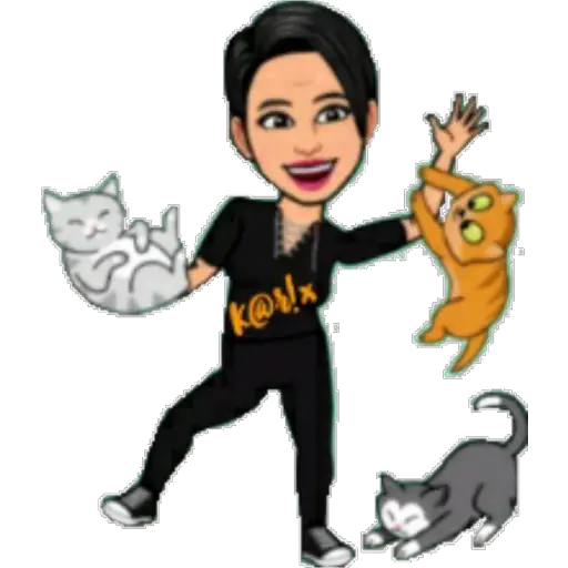 Juggling cats chaos