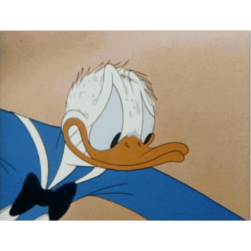 Donald Duck tired