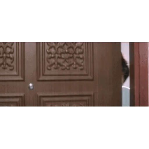 Peeking through the door