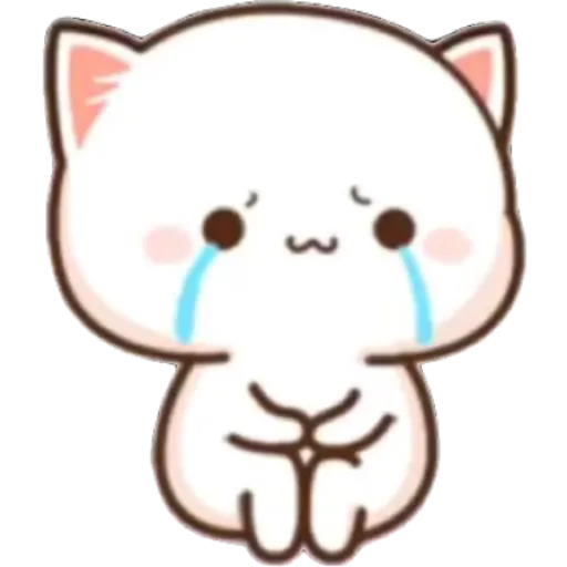Crying kitten