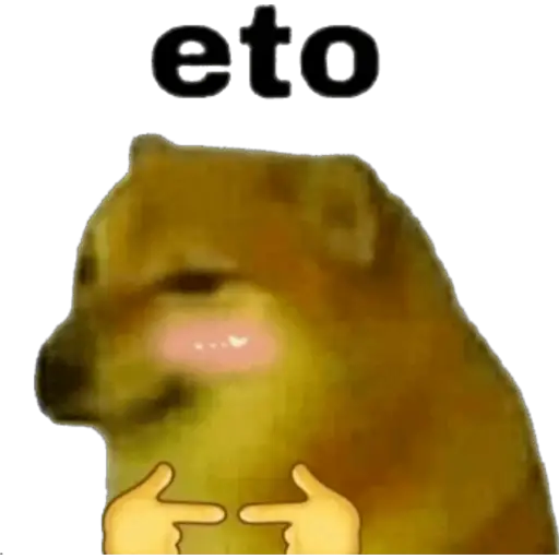 Shy Dog 'Eto'