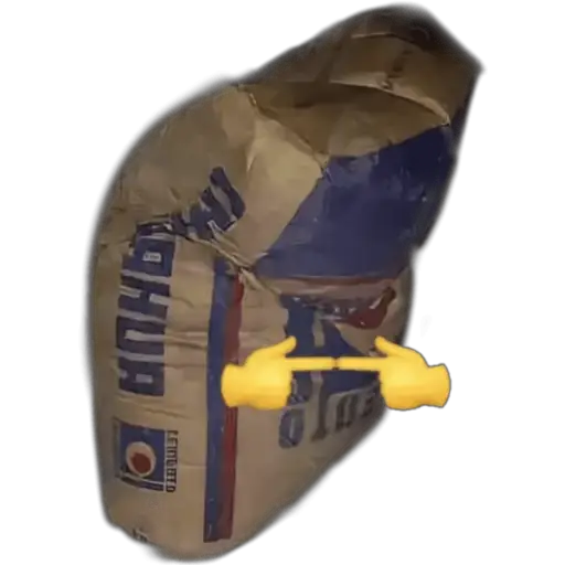 Pointing at the Bag