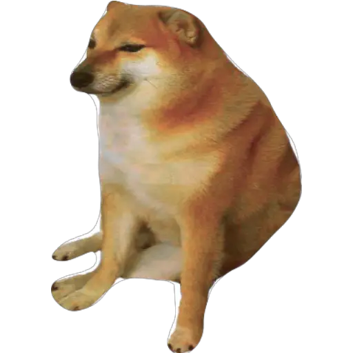 Cheems Contemplating
