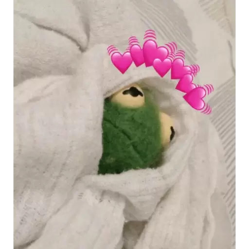 Cozy Kermit with Heart Shower