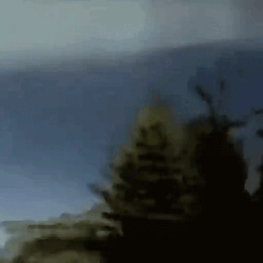 Unexpected Jesus Appearance