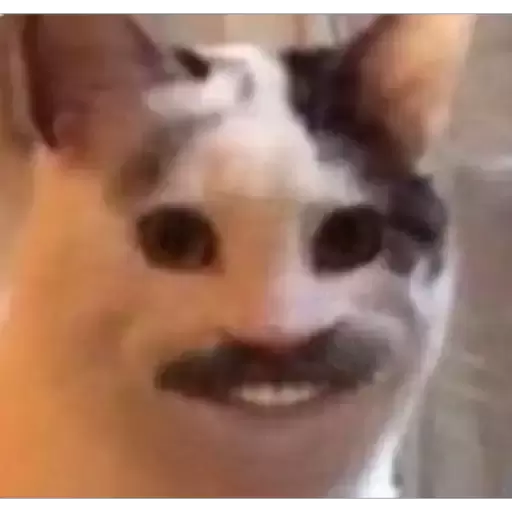 Cat with a Human Smile