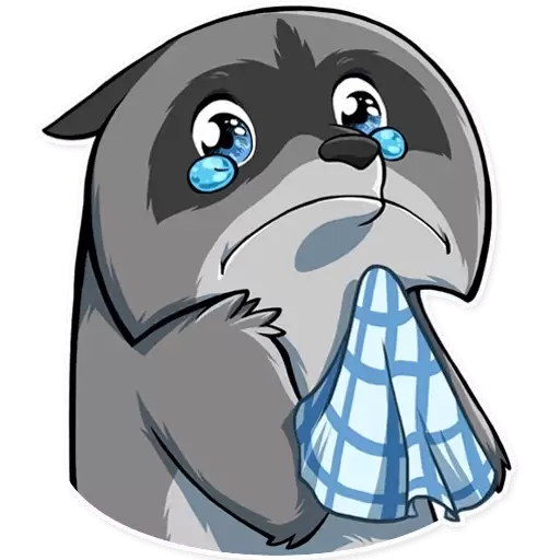 Sad raccoon with tears