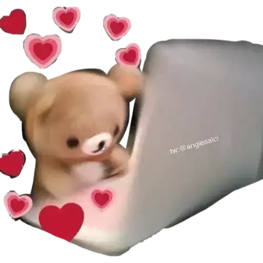 Bear typing with love